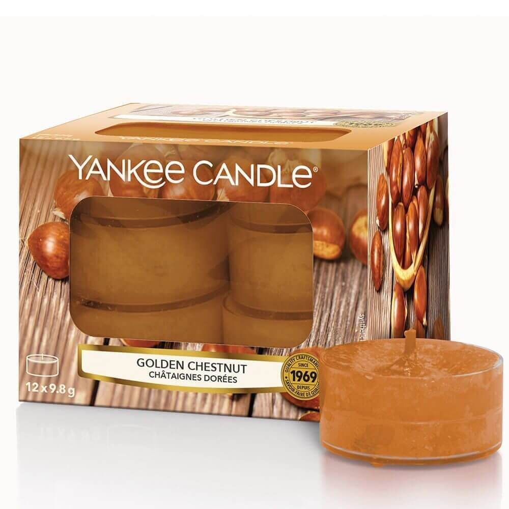 3450-YC-Q319_Tealight_Golden-Chestnut Golden Chestnut 12 Stck von Yankee Candle