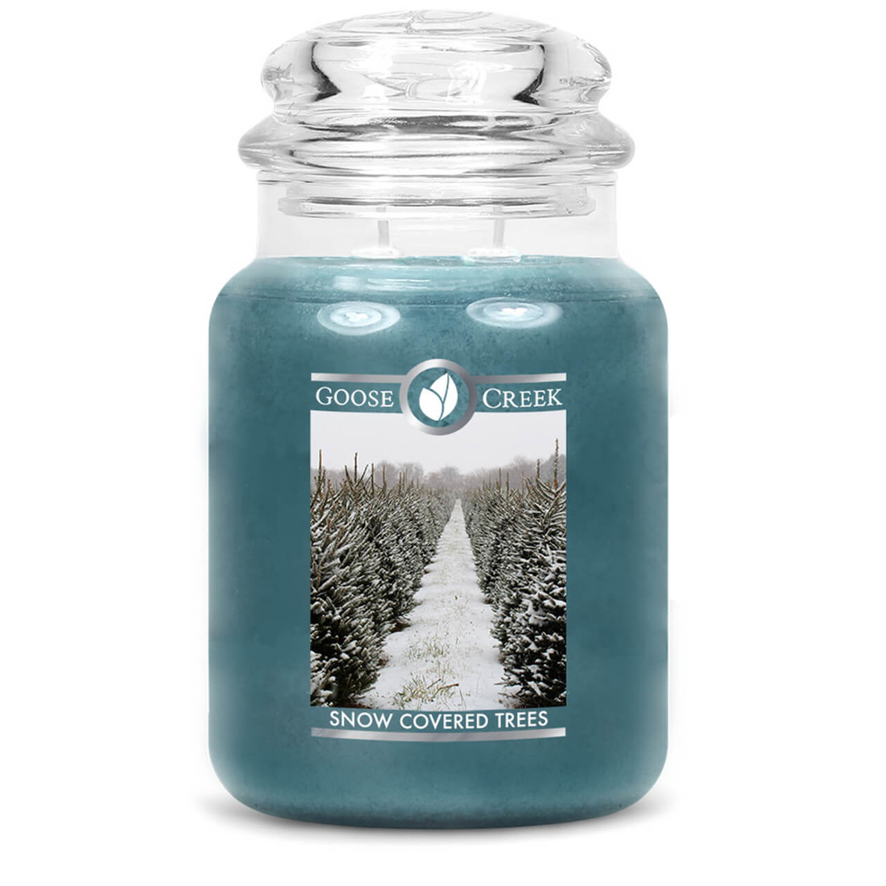 Snow Covered Trees 680g