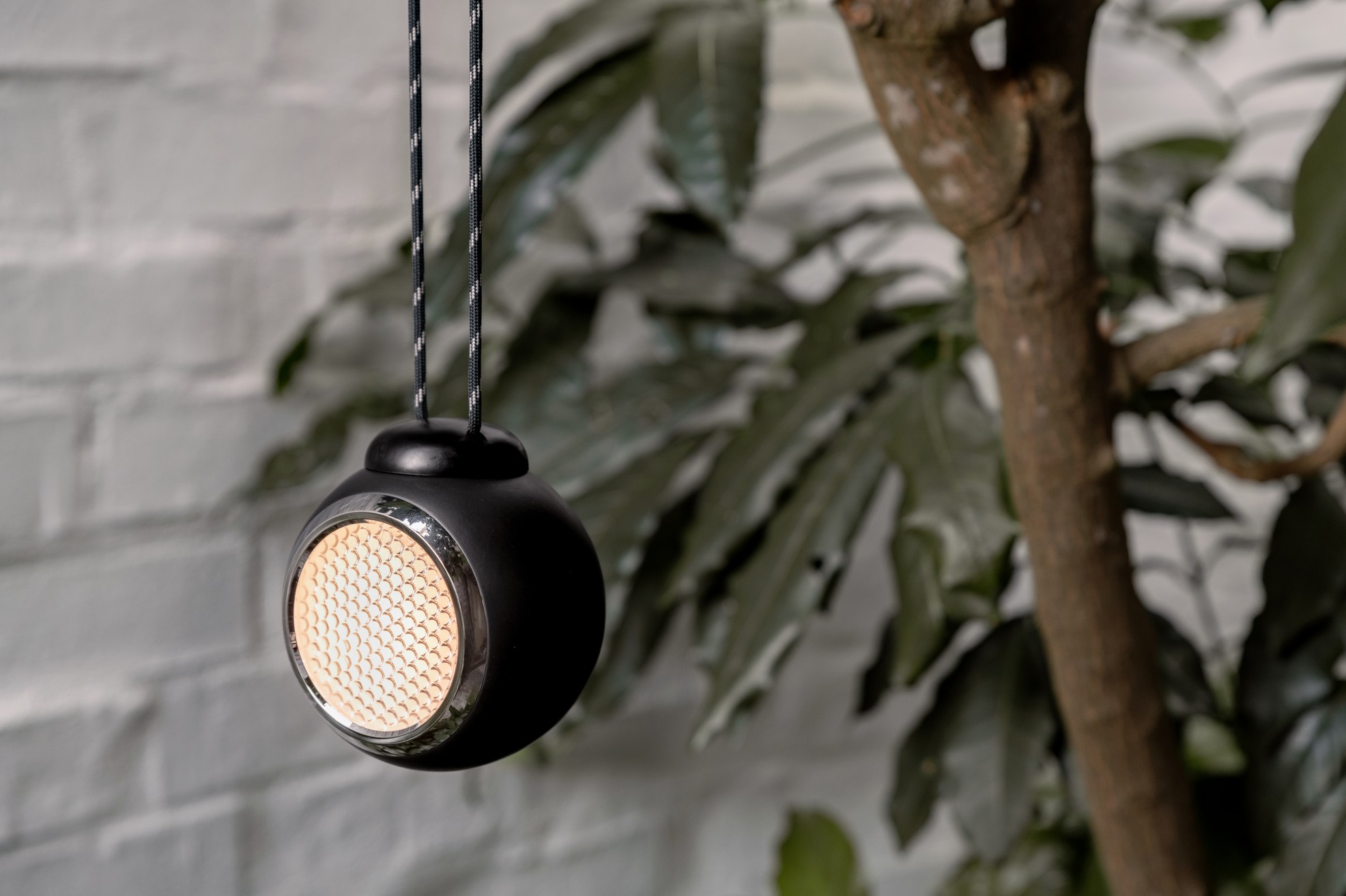 Norbitt Hanging String Squid Black Norbitt Hanging String Squid Black