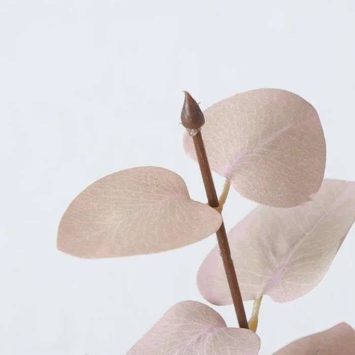 Detailbild-8YLHh9f-large Dekozweig Eukalyptus rosa