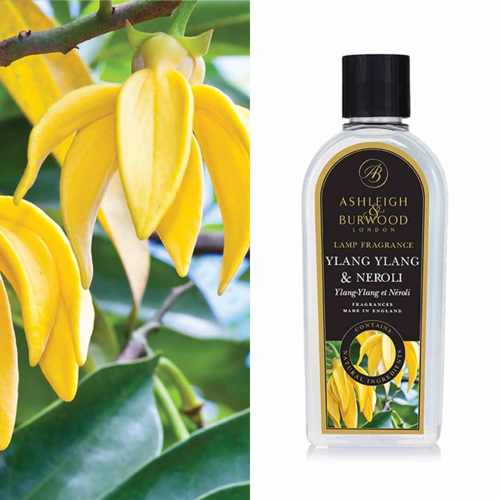 Ylang Ylang & Neroli 250ml Duftlampenöl Nachfüller Ylang Ylang & Neroli 250ml Duftlampenöl Nachfüller