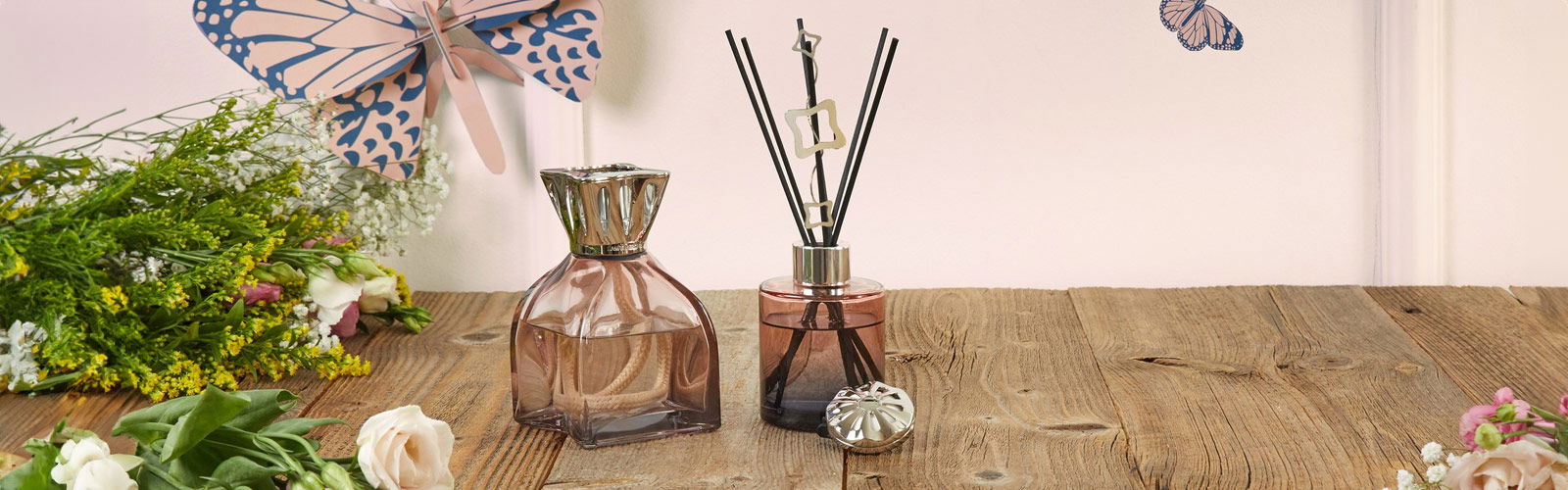 Lampe-Berger-kaufen Pflanze, Pflanze im Topf, Parfüm, Glas, Vase