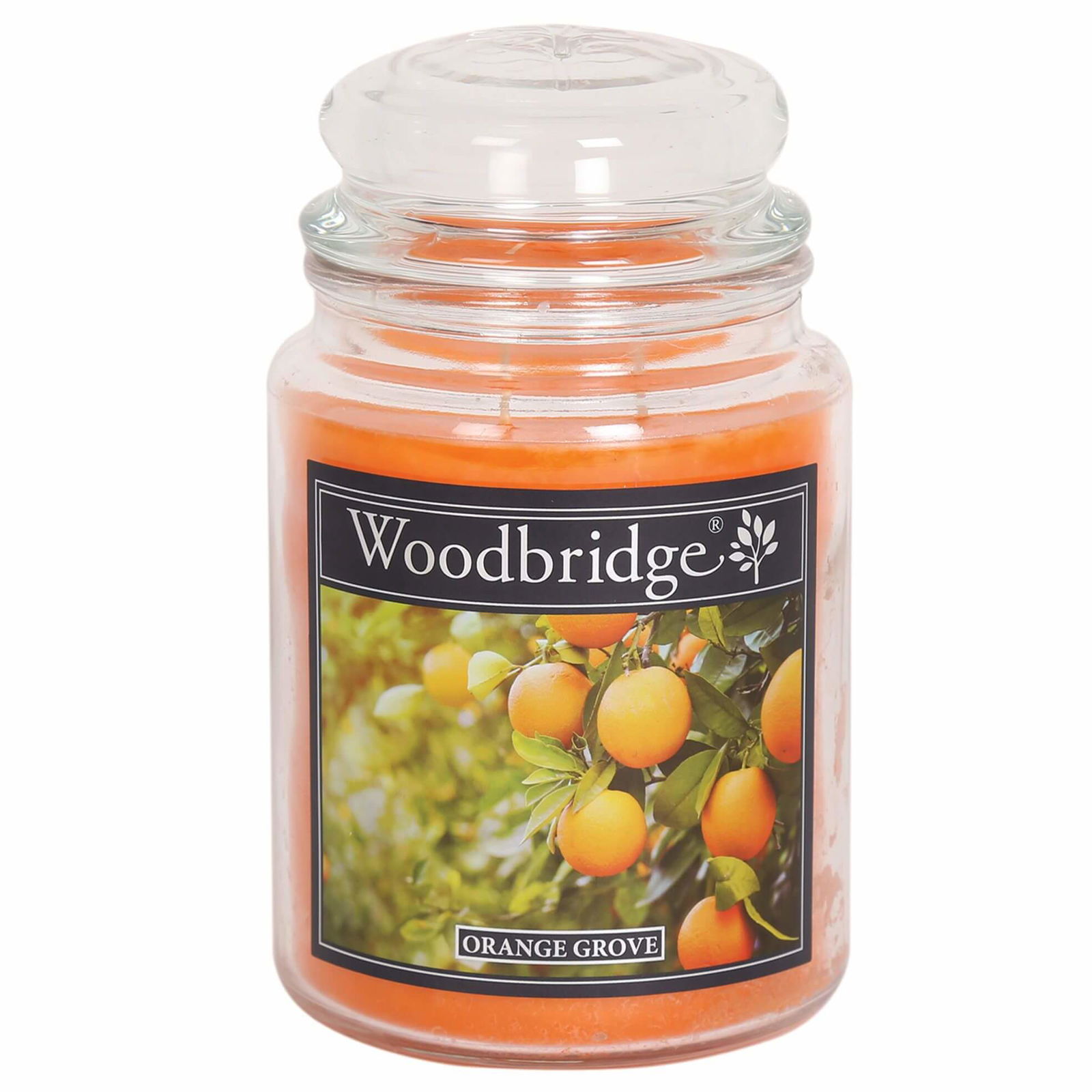 Orange Grove 565g