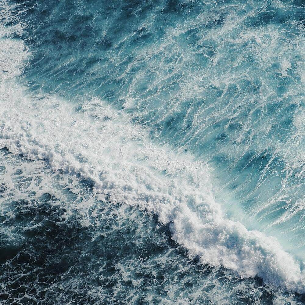 sea-salt-surf_2000x-progressive Sea Salt Surf 602g