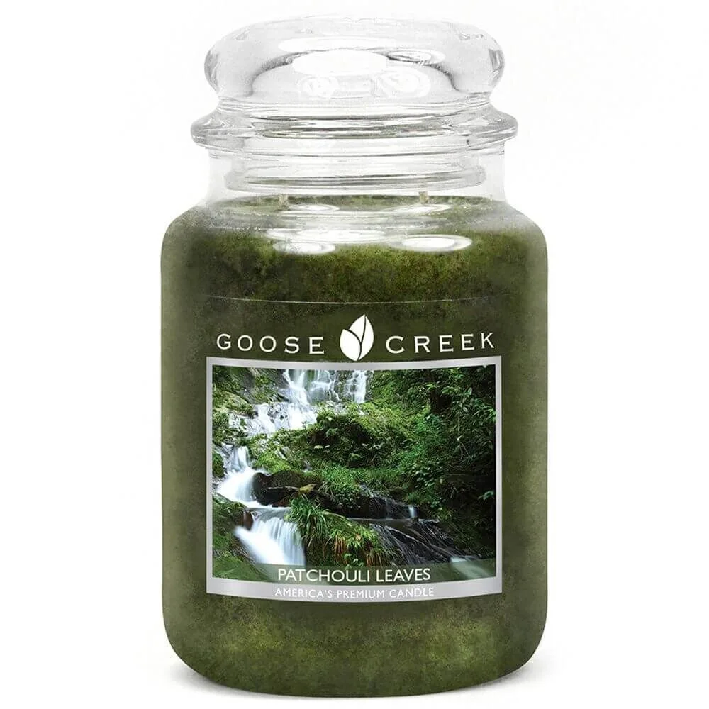 ES2611-Patchouli-Leaves-24oz-Jar Goose Creek Candle Patchouli Leaves 680g