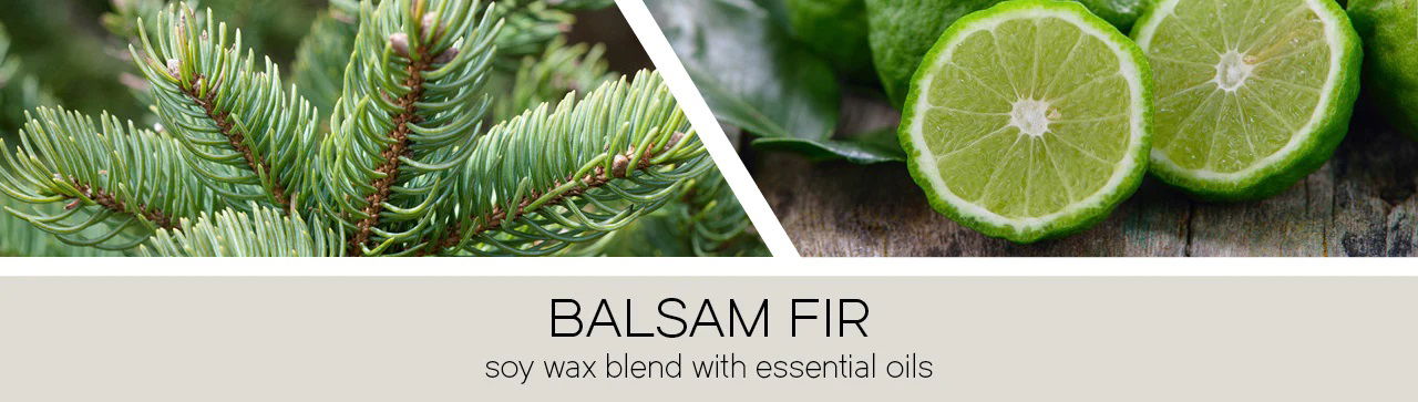 Balsam Fir 411g (3-Docht)