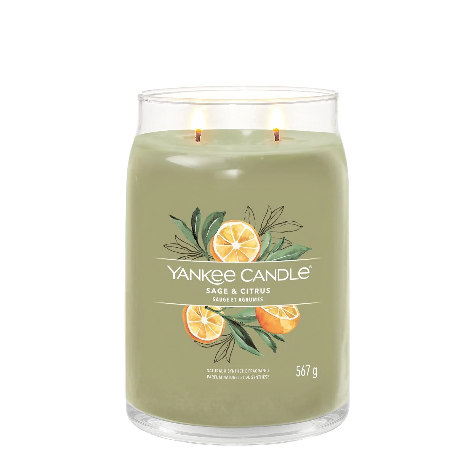 Sage__Citrus_Large_LIT-1-1