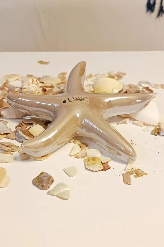 seestern-mirana-glatt-sand-gross Seestern Mirana 8cm sand