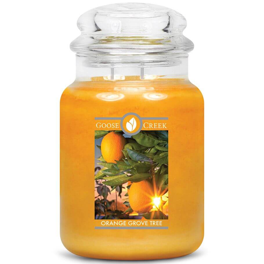 Goose Creek Orange Grove Tree 680g Jar