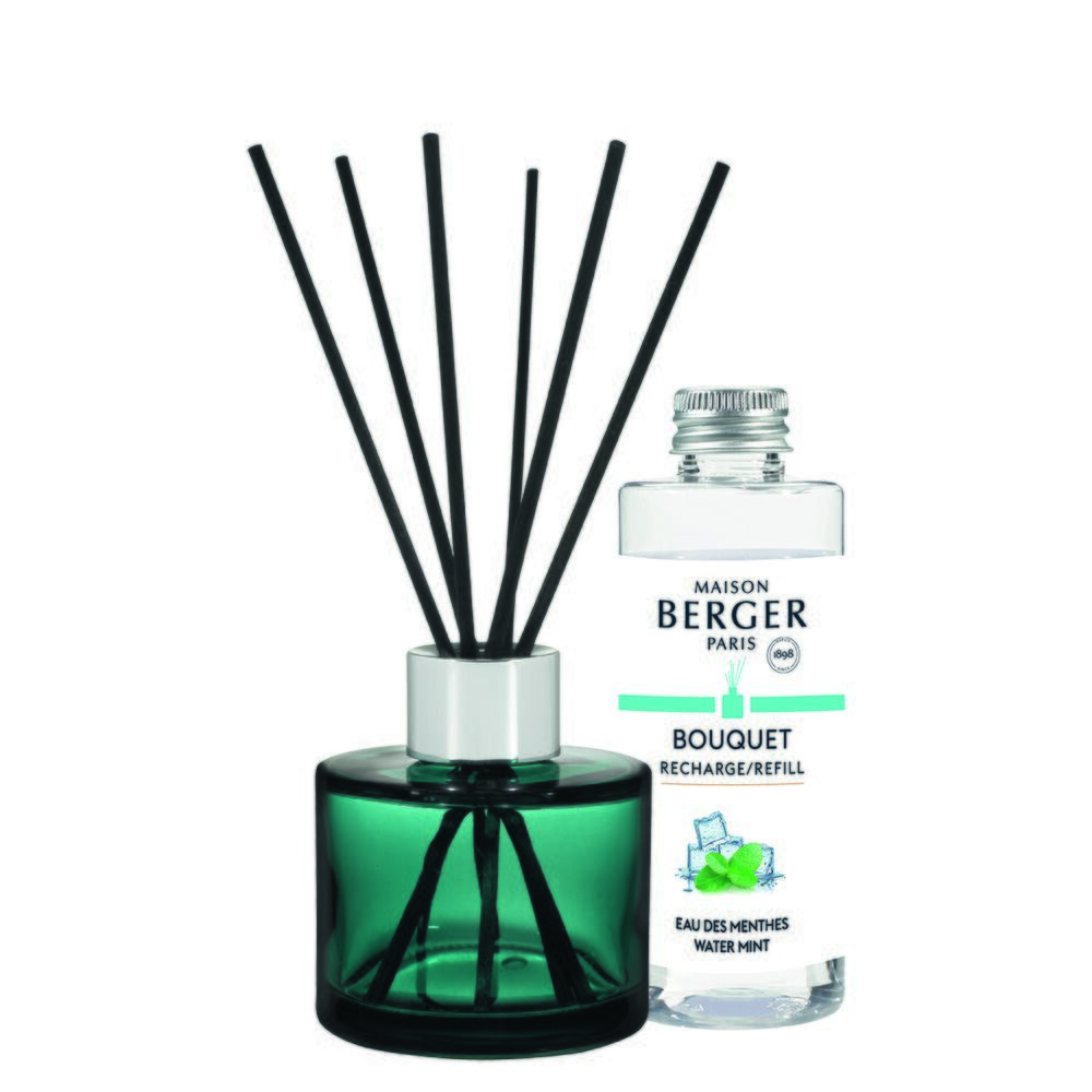 Erfrischendes Minzwasser Raumduft Diffuser Mini Summer Erfrischendes Minzwasser Raumduft Diffuser Mini Summer