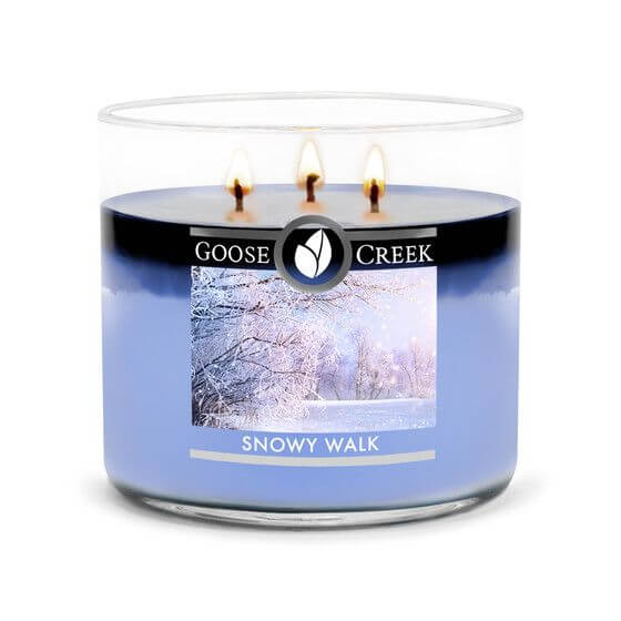 Goose Creek Snowy Walk 411g
