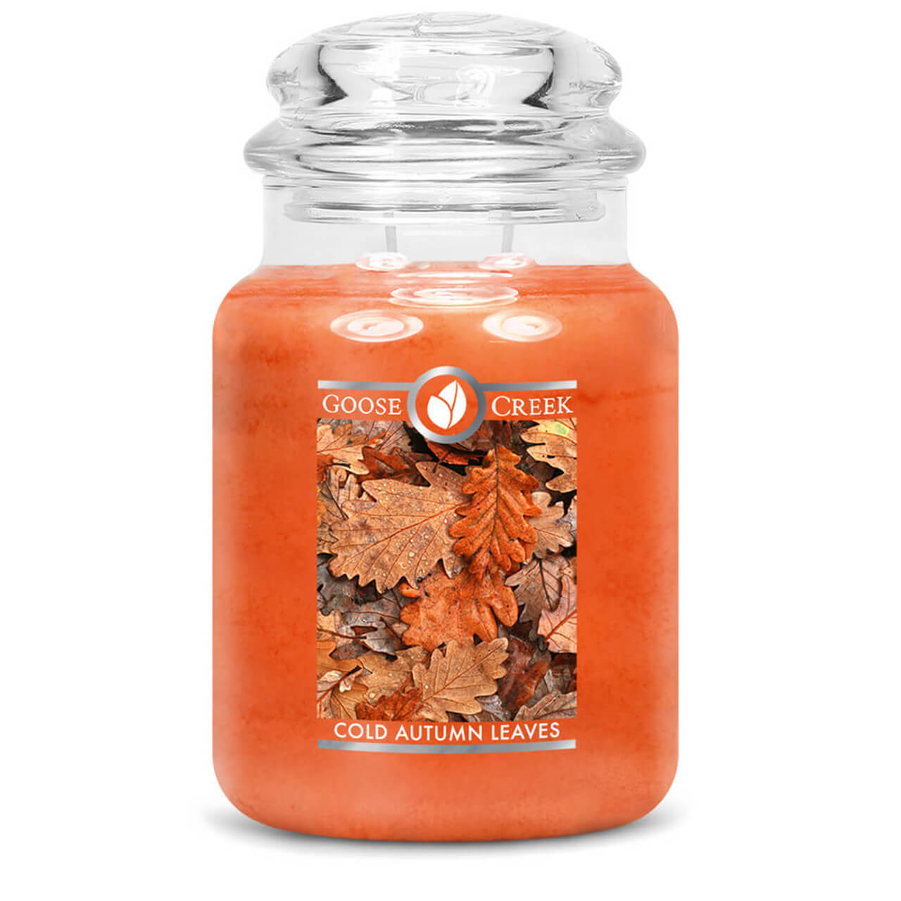 Cold Autumn Leaves 680g