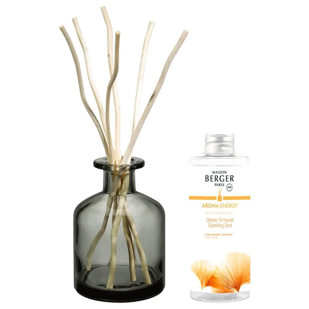 Aroma Energy 2024 Raumduft Diffuser Aroma Energy 2024 Raumduft Diffuser
