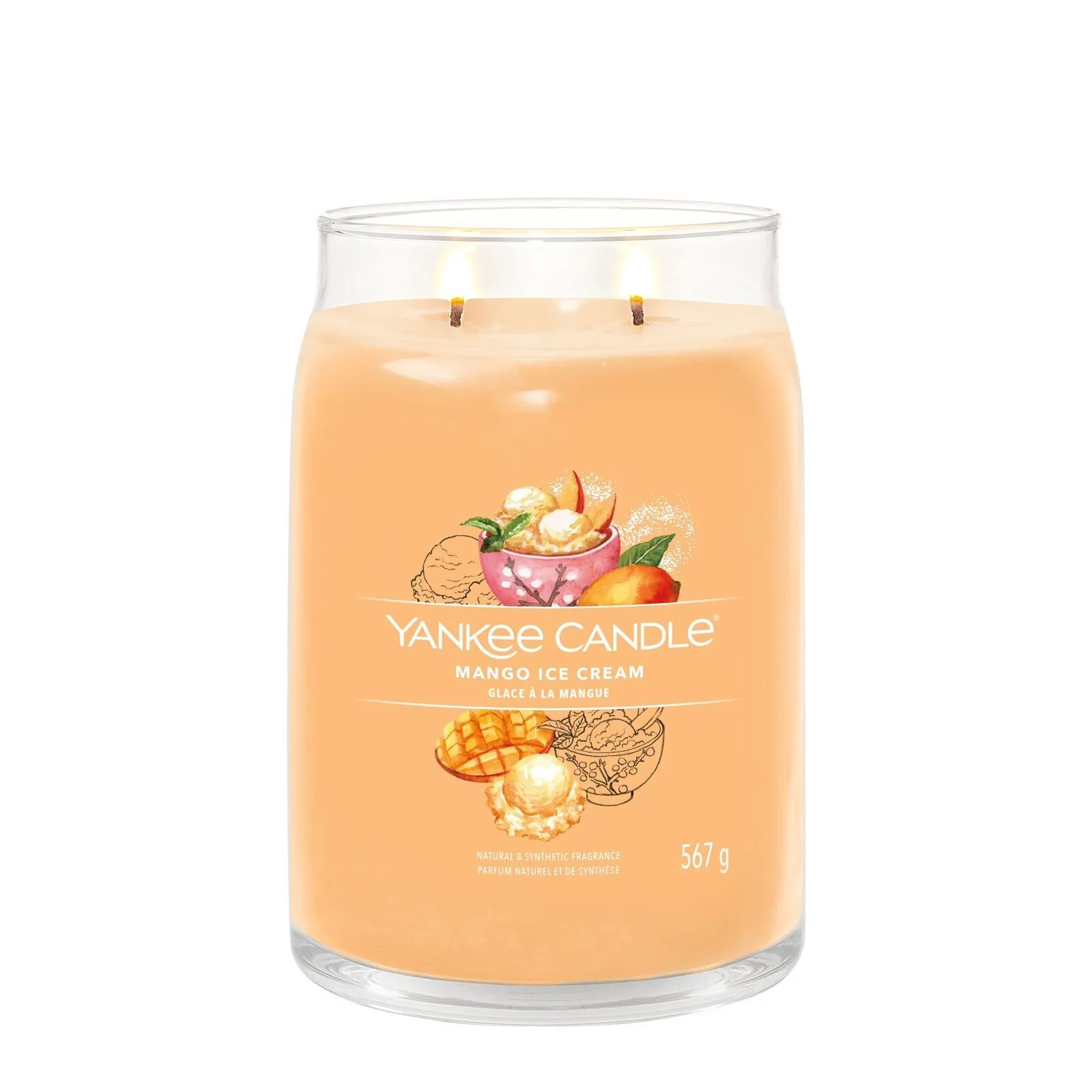 Mango_ice_Cream_Large_LIT-1-1
