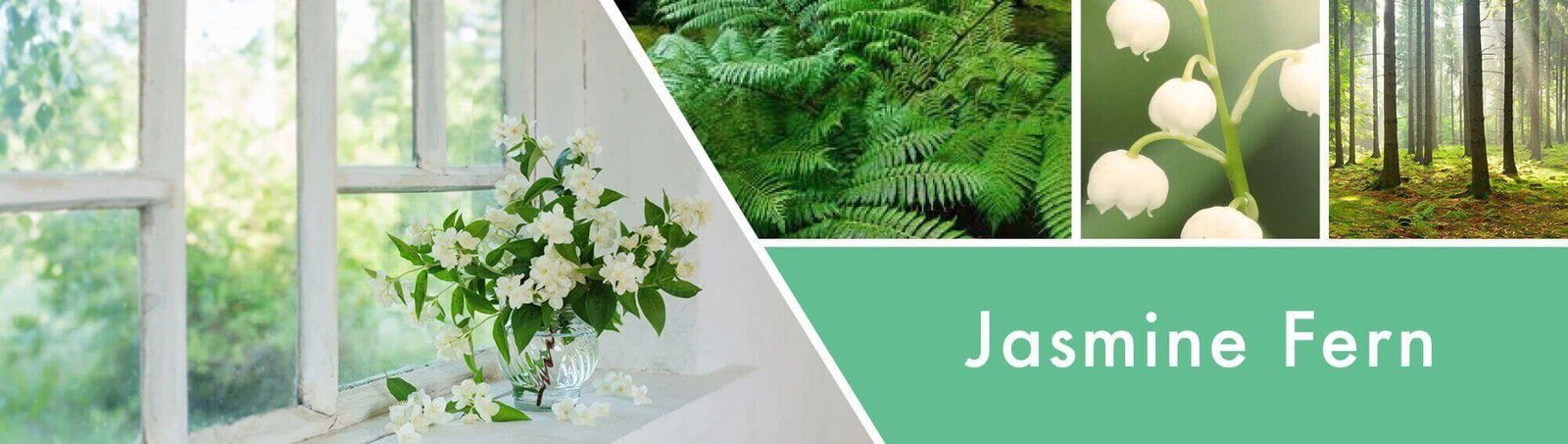 Jasmine Fern 411g (3-Docht)