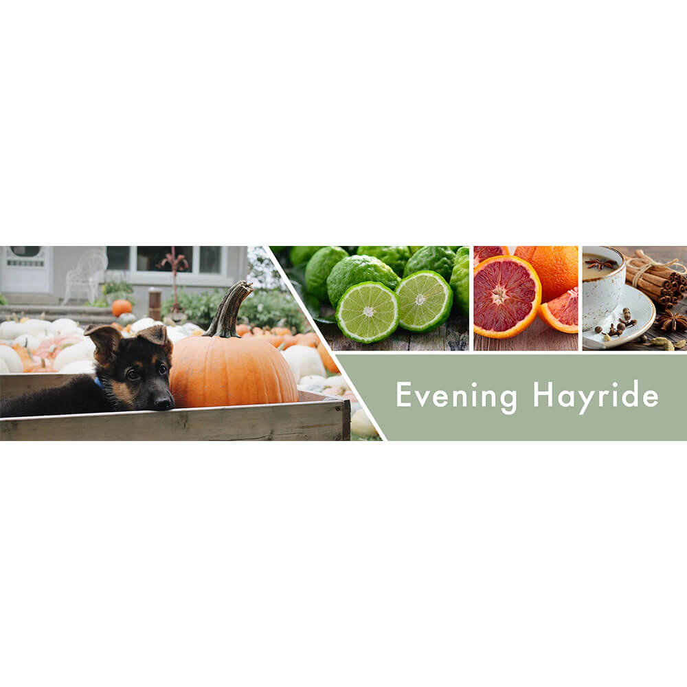 Evening Hayride 453g