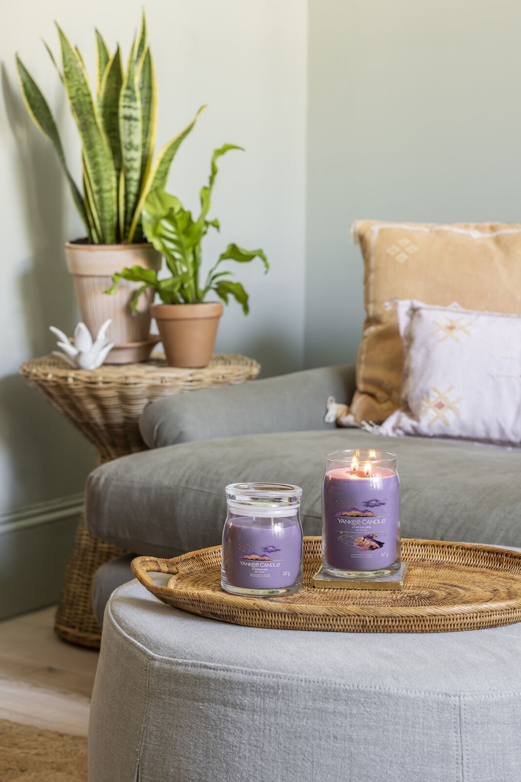 STARGAZING_GROUP_030 Stargazing Signature Large Jar 567g 2-Docht