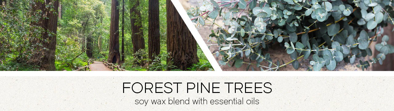 Forest Pine Trees 59g