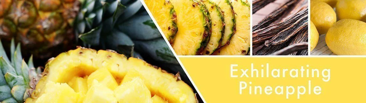 Exhilarating-Pineapple-Fragrance-Notes_d96e9263-953c-4a52-905b-4aac12f649c7