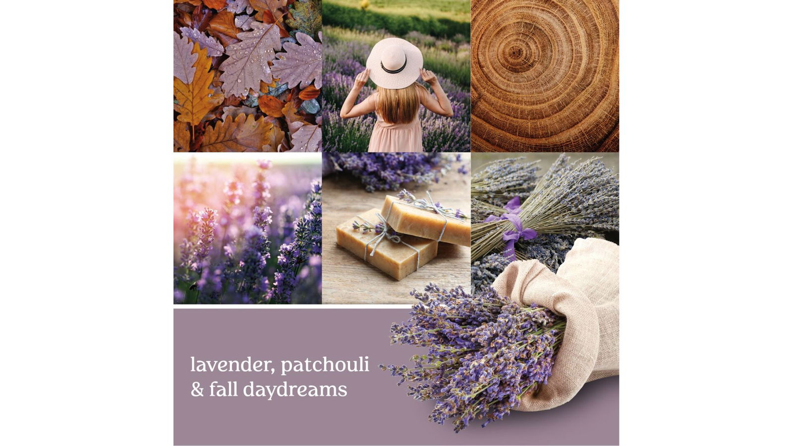 Dried Lavender & Oak 623g