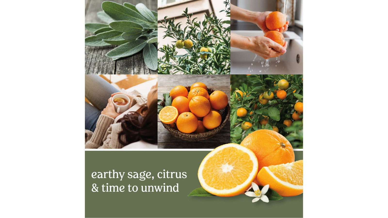 Sage & Citrus 623g