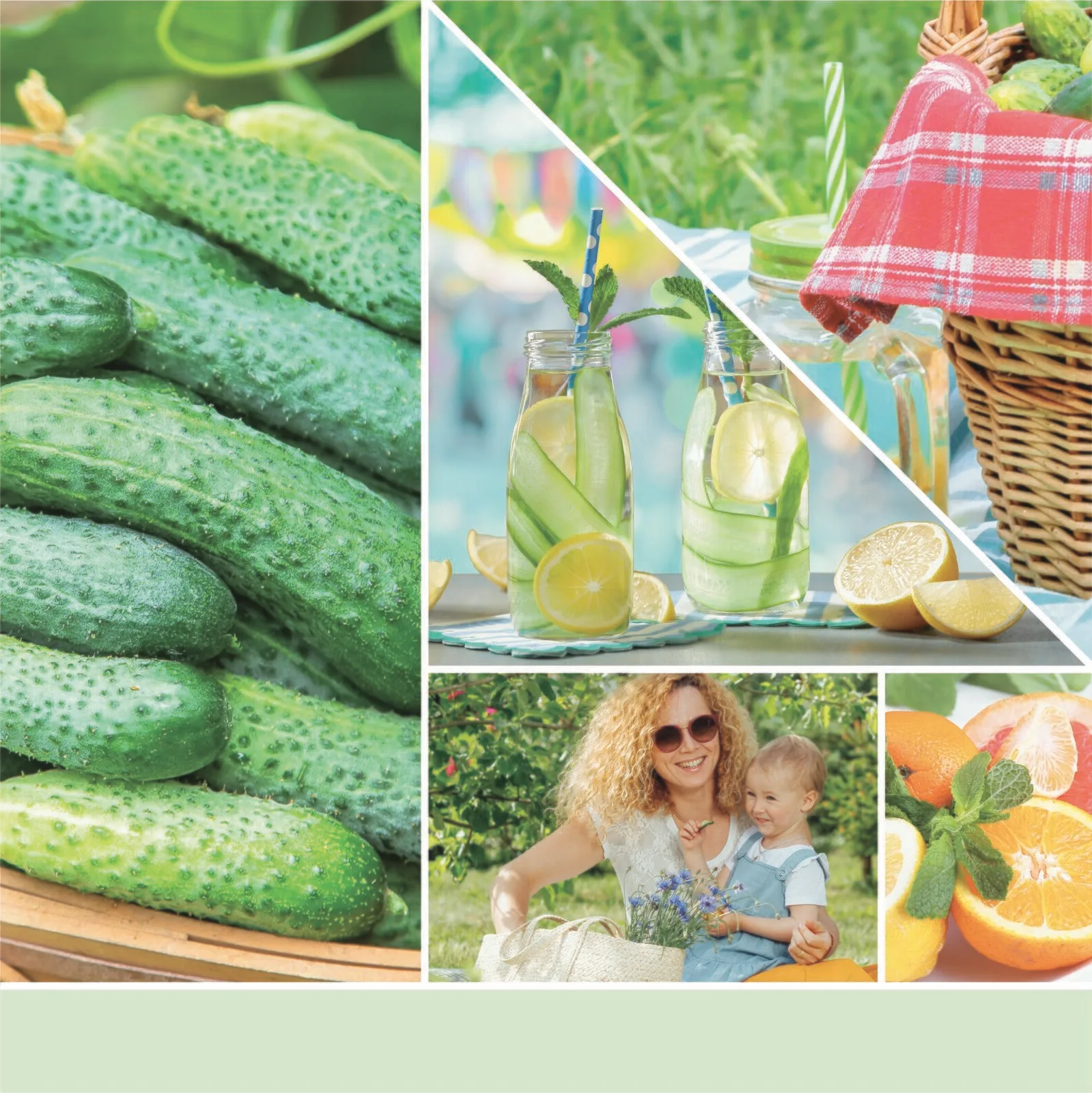 HMFC0112_EMEA_SS23_Fragrance2D_CucumberMintCooler_Signature_NO_candle-1-0 Cucumber Mint Cooler Signature Medium Jar 368g 2-Docht