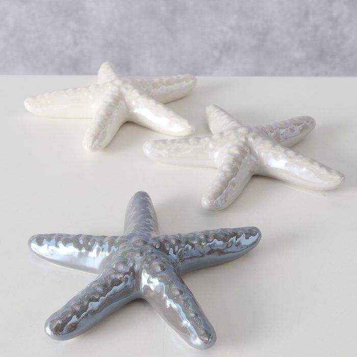 Ambientebild-BBJ8B_9l-large Seestern Mylva 11cm grau