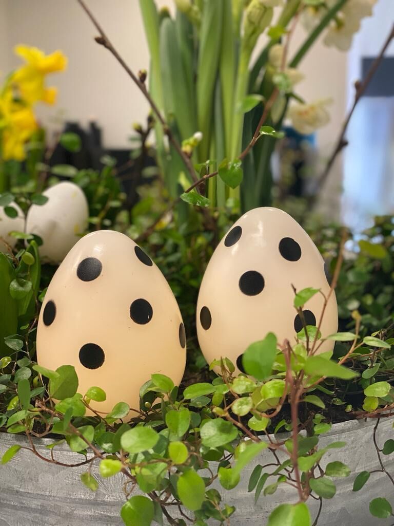 PHOTO-2023-01-30-11-56-00-4 LED Osterei weiß mit Punkten