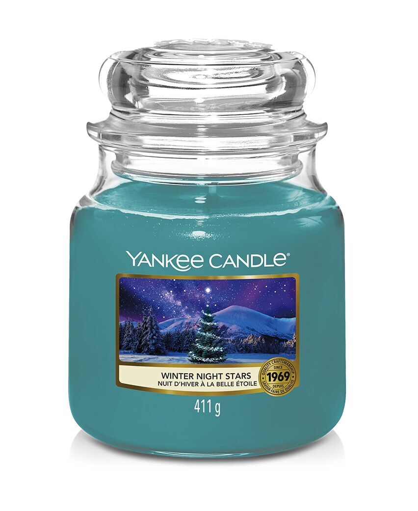 winternightstars411gE Winter Night Stars 411g