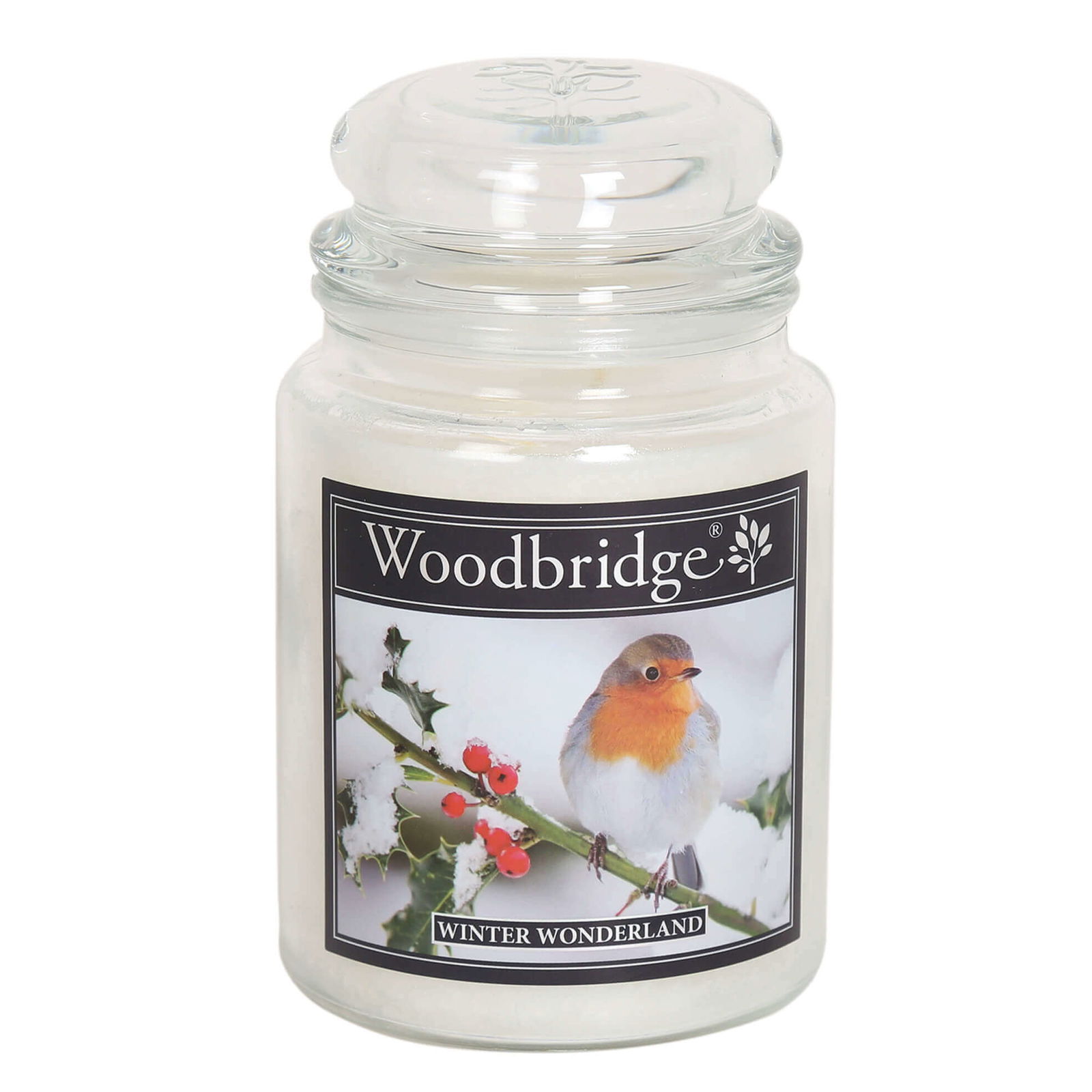 Winter Wonderland 565g