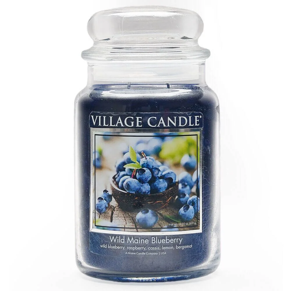 4260450 Wild Maine Blueberry 602g