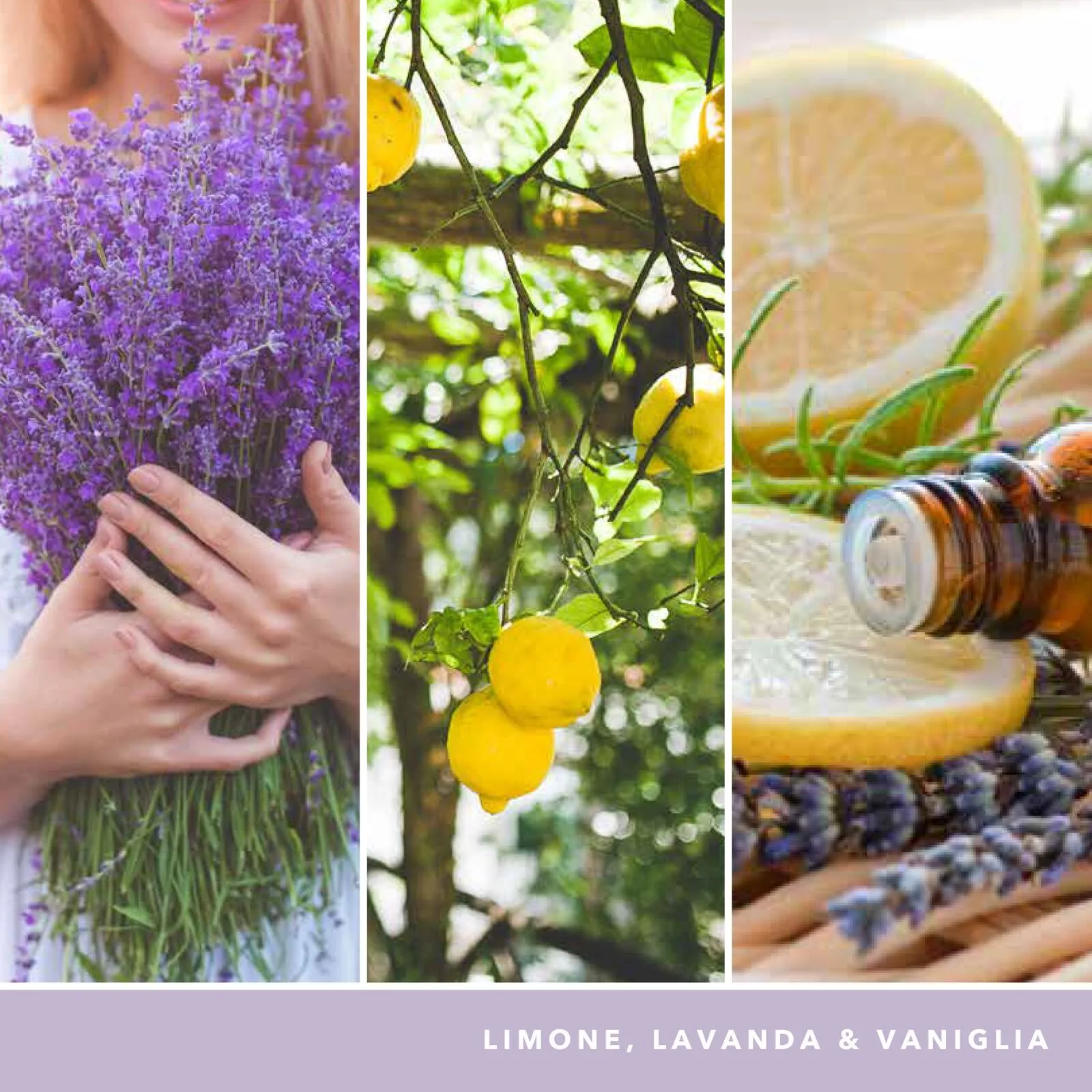 yc_signature_large_tumbler_1630038E_ATF_Italian_03 Lemon Lavender 37g