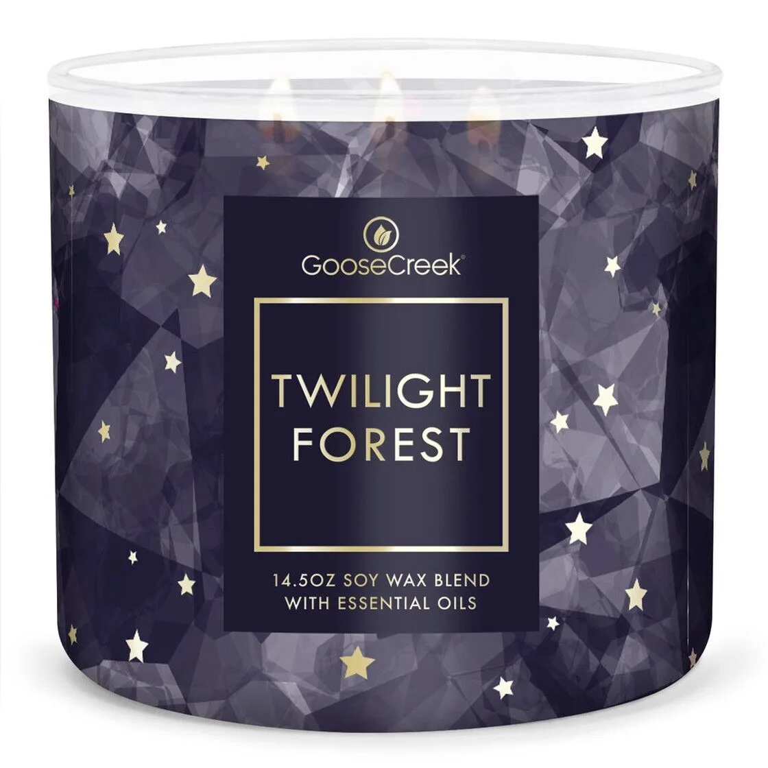 twilight-forest-3-docht-kerze-411gMRS9xsCxru2J4 Twilight Forest 411g (3-Docht)