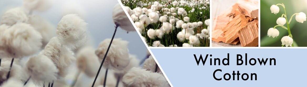 THANKFUL Wind Blown Cotton 411g (3-Docht) Farmhouse Collection