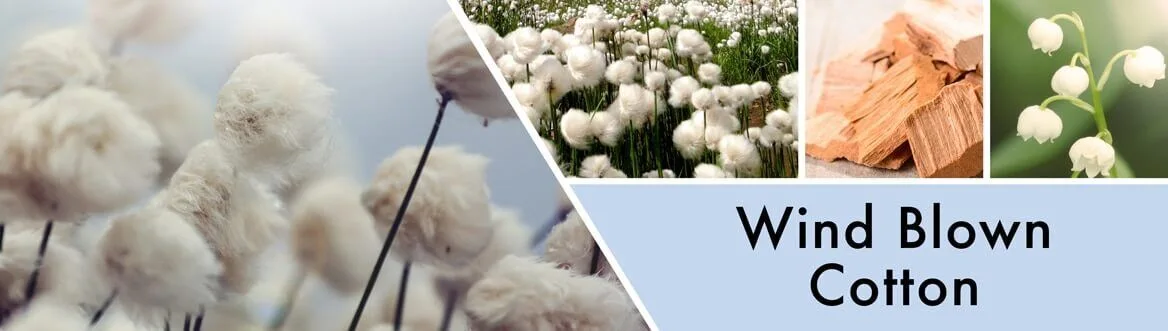 wind-blown-cotton-candles THANKFUL Wind Blown Cotton 411g (3-Docht) Farmhouse Collection