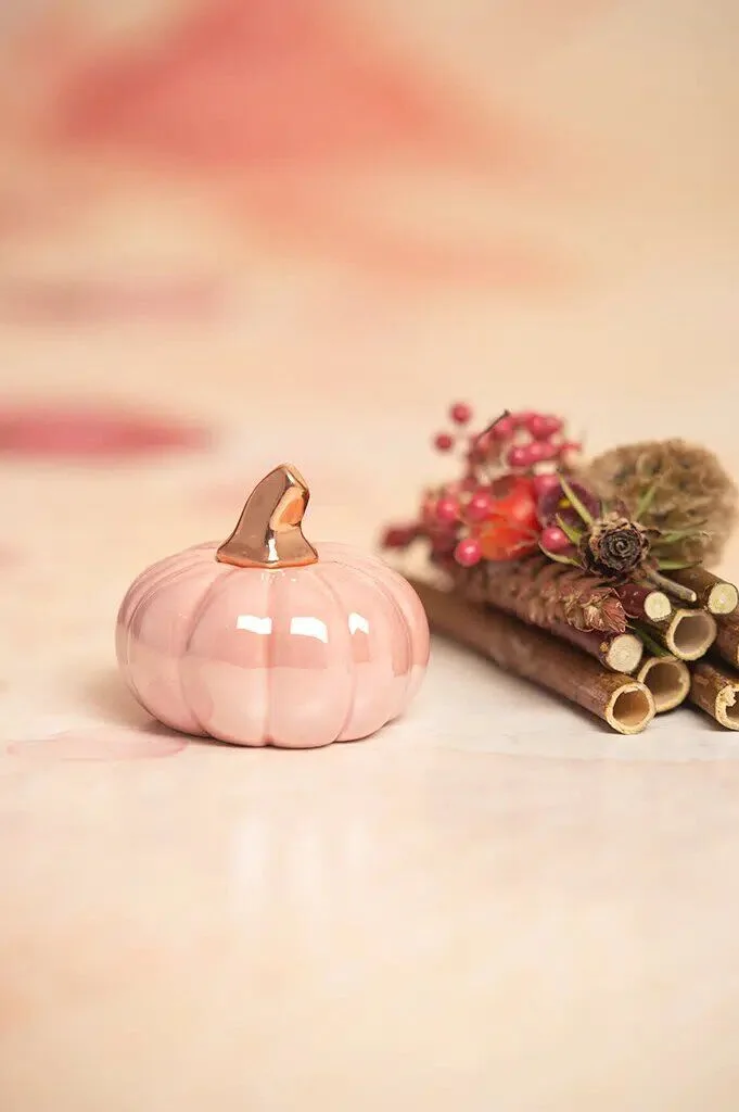 boglia-kuerbis-glory-pink Minikürbis Boglia 6cm glory pink