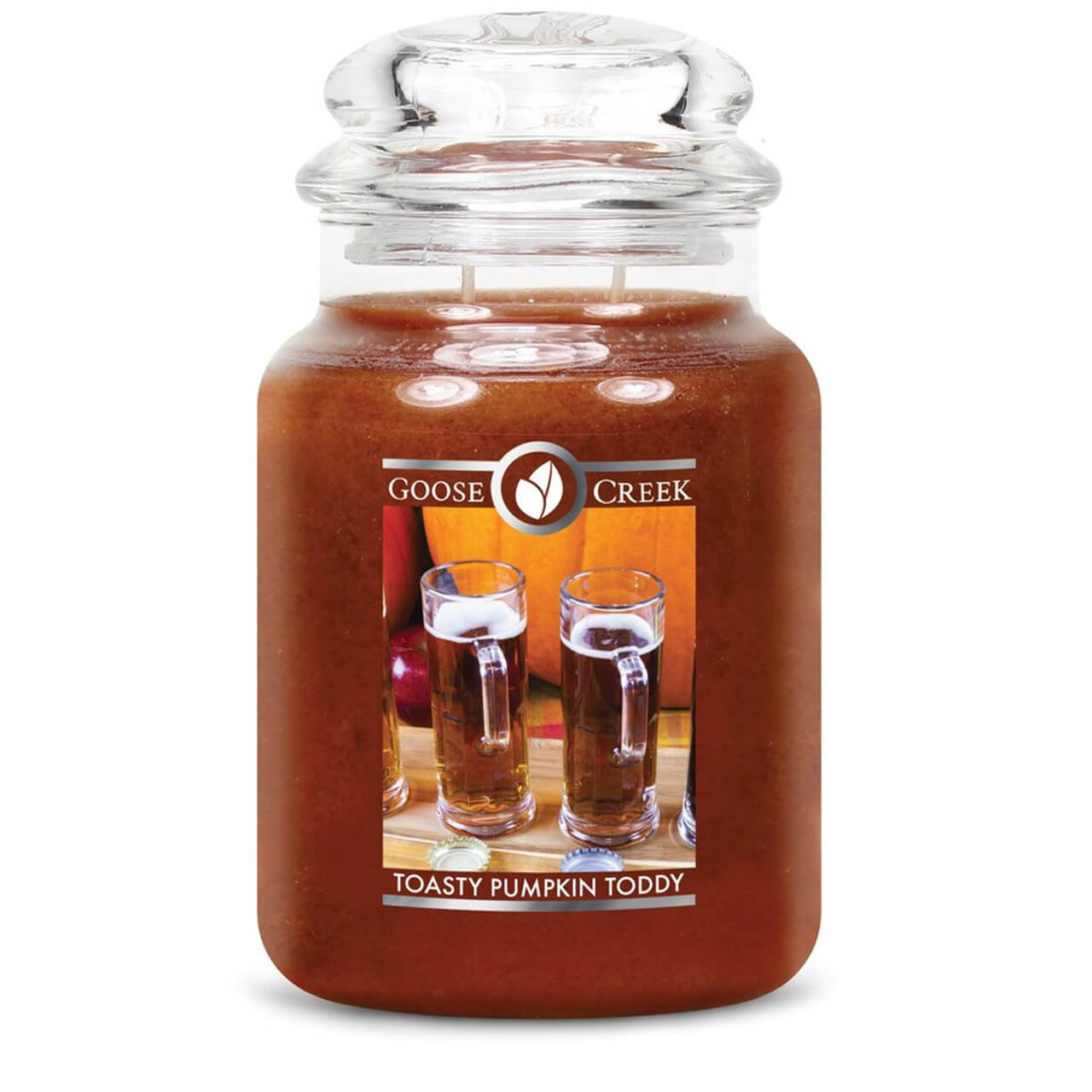 Toasty Pumpkin Toddy 680g