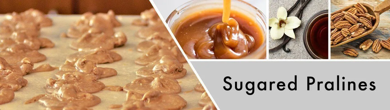 FAMILY-Sugared-Pralines-Fragrance-Banner FAMILY Sugared Pralines 411g (3-Docht) Farmhouse Collection