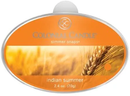 41FmdmgpVtL-_AC_ Indian Summer Simmer Snaps 70g