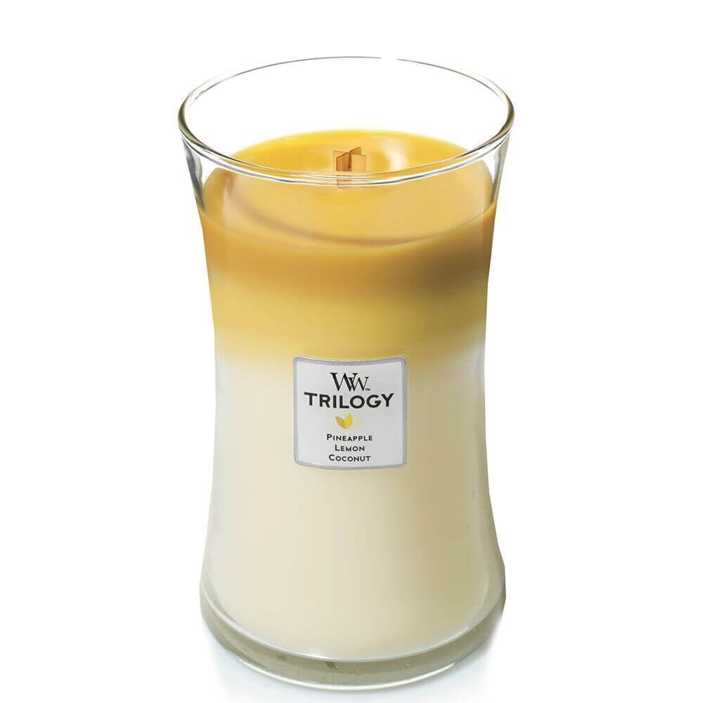 93958_w-o-Lid Fruits of Summer 610g