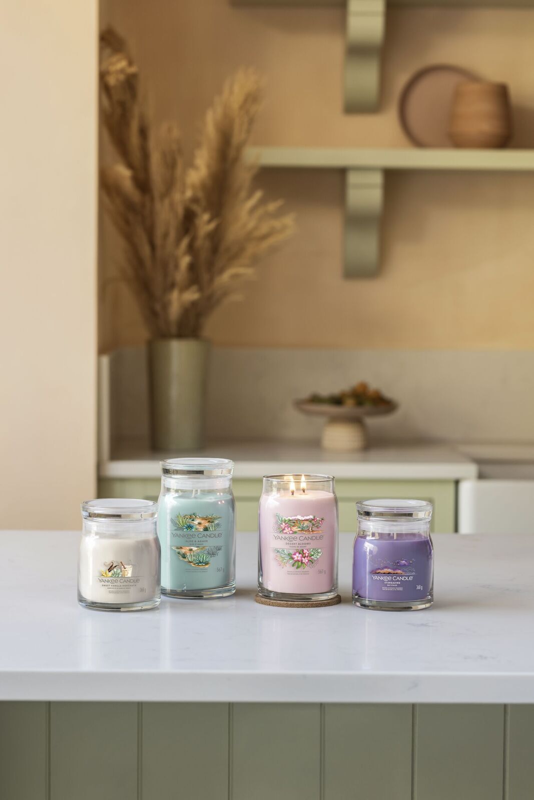 DESERT_BLOOMS_ALGOE_AND_AGAVE_STARGAZING_SWEET_VANILLA_HORCHARTA_GROUP_038 Desert Blooms Signature Medium Jar 368g 2-Docht