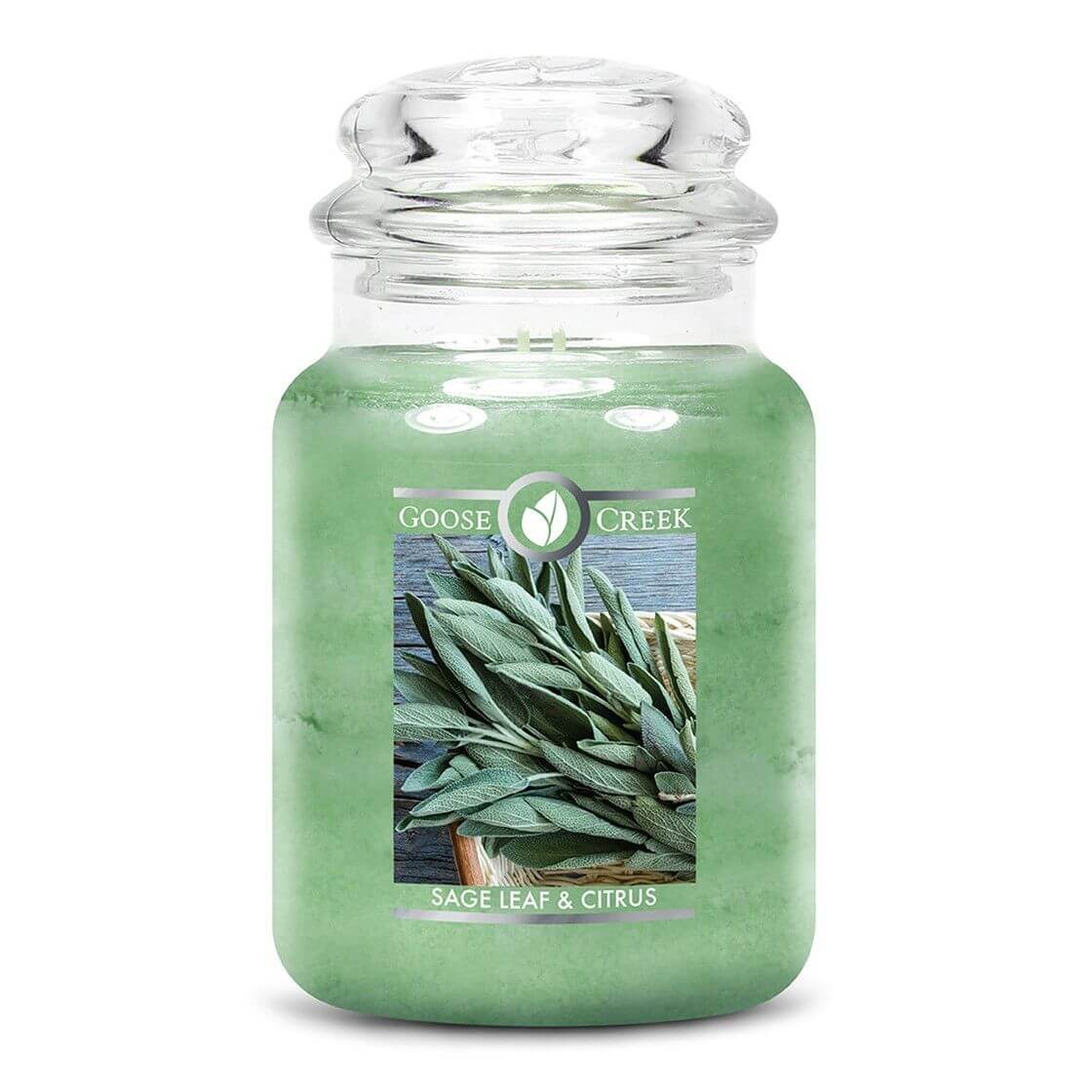Sage Leaf & Citrus 680g