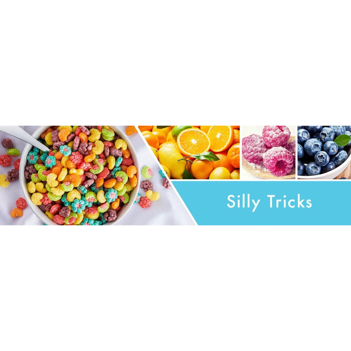 Silly Tricks 453g