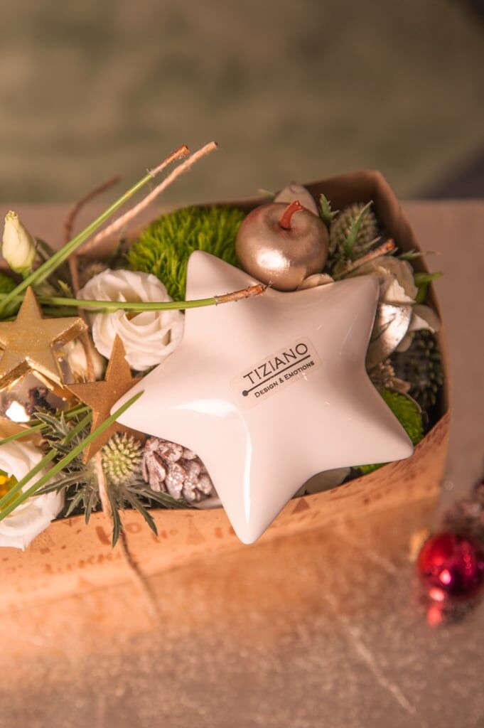 lazio-deko1 Stern Lazio 13cm liegend cremeweiß