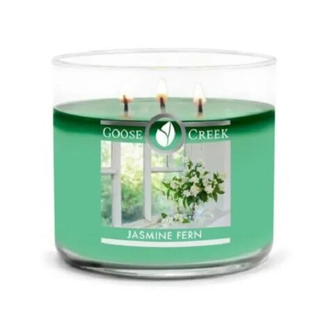 Jasmine Fern 411g (3-Docht)