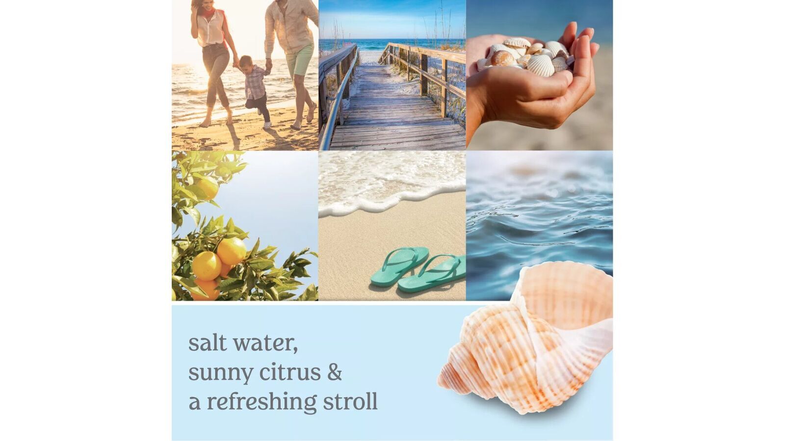 bewa2 Beach Walk 623g