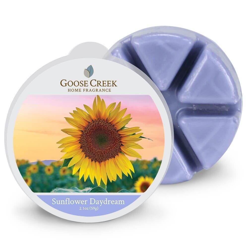 Sunflower Daydream 59g von Goose Creek Candle