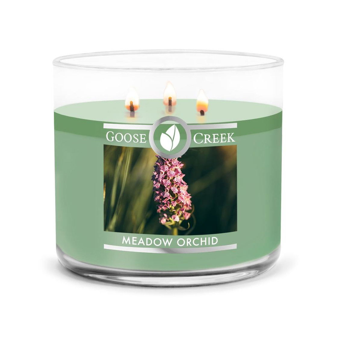 Meadow Orchid 411g (3-Docht)