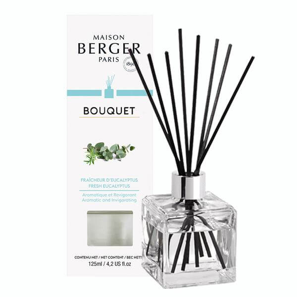 Raumduft Diffuser Frischer Eukalyptus Auslauf