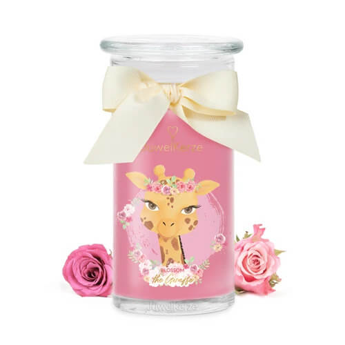 Blossom the Giraffe (Charm) 400g